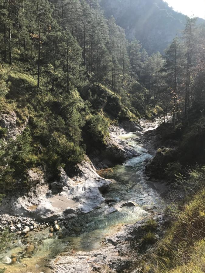 Pension Gut Trogern Bad Eisenkappel Εξωτερικό φωτογραφία