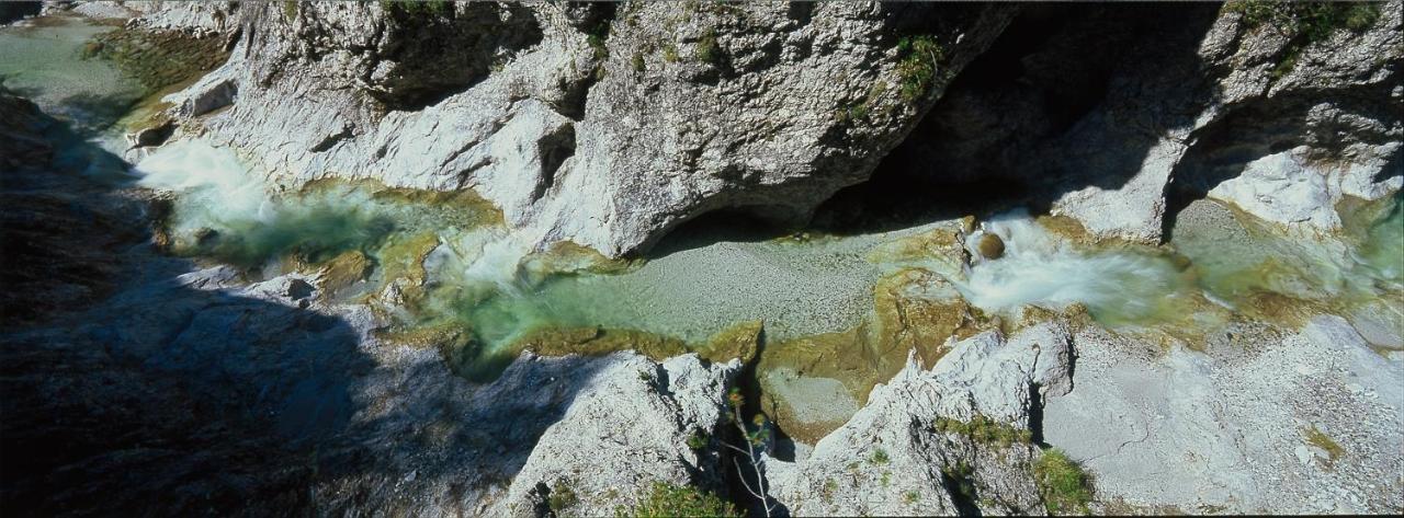Pension Gut Trogern Bad Eisenkappel Εξωτερικό φωτογραφία