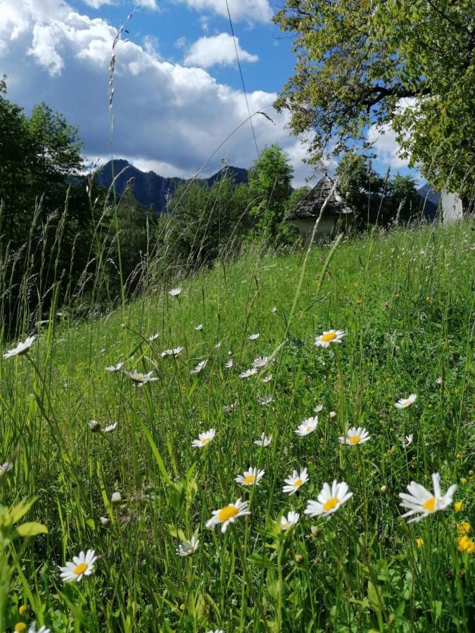 Pension Gut Trogern Bad Eisenkappel Εξωτερικό φωτογραφία